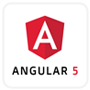 Redsun infotech Angular JS logo png